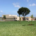 vipingo ridge a4